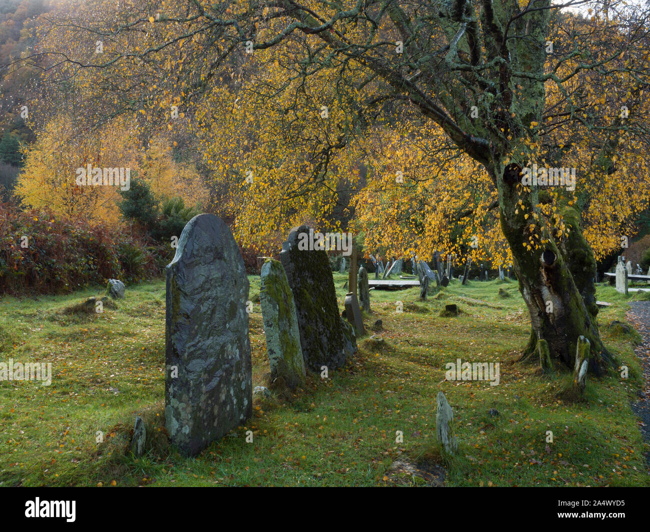 Des pierres tombales dans le cimetière, Glendalough, Wicklow Mountains National Park, comté de Wicklow, Irlande Banque D'Images