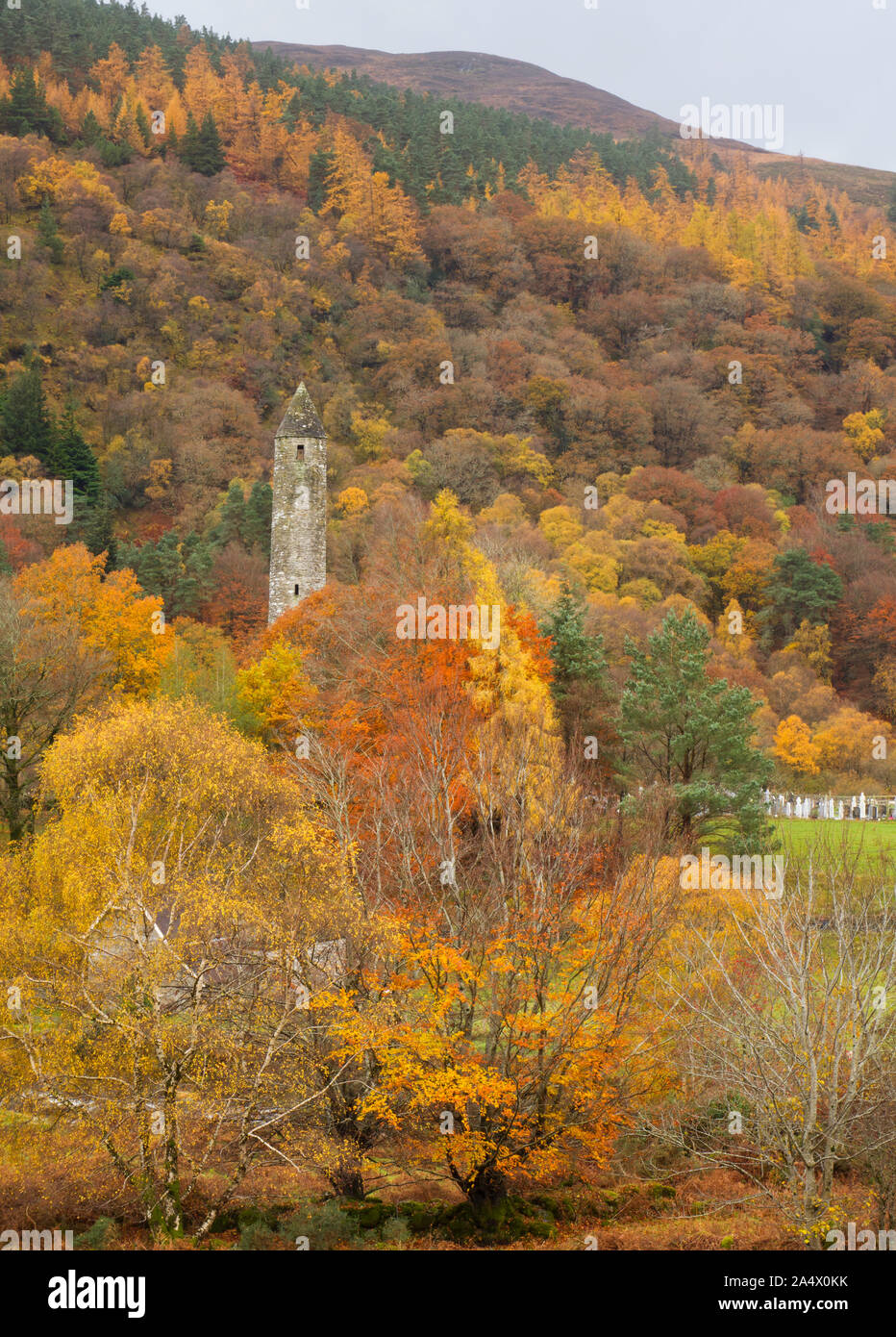 La tour ronde au milieu d'arbres en automne couleur complet, Glendalough, Wicklow Mountains National Park, comté de Wicklow, Irlande Banque D'Images