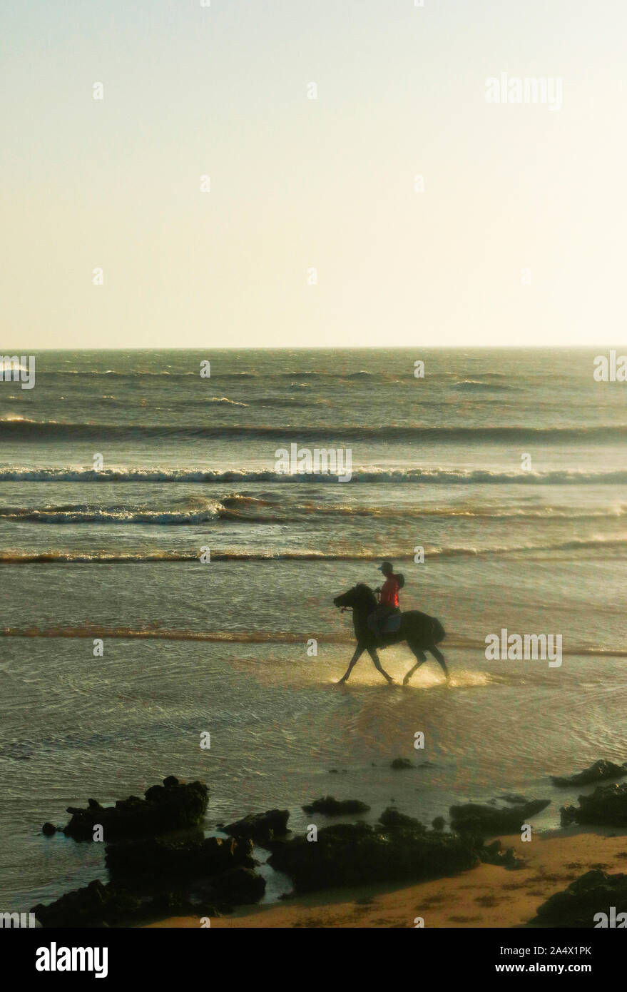 La plage de Sidi Kaouki, près d'Essaouira. Maroc Banque D'Images