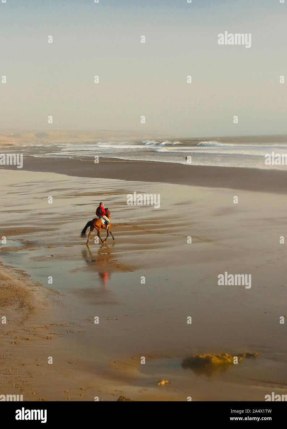 La plage de Sidi Kaouki, près d'Essaouira. Maroc Banque D'Images