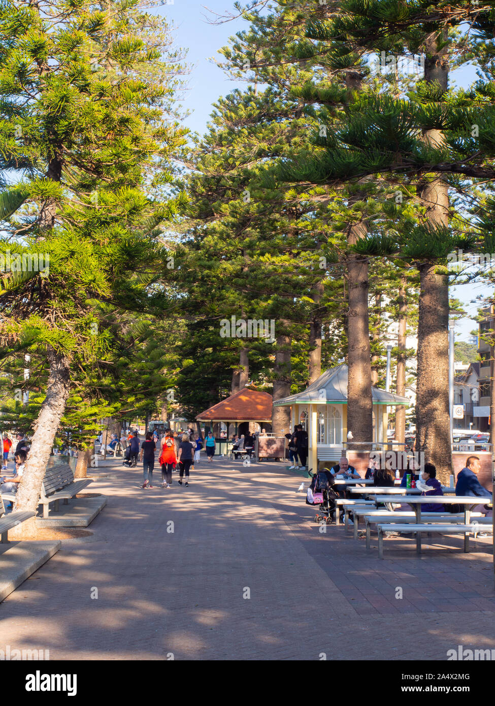 Personnes sur l'Esplanade de la plage de Manly Sydney Banque D'Images