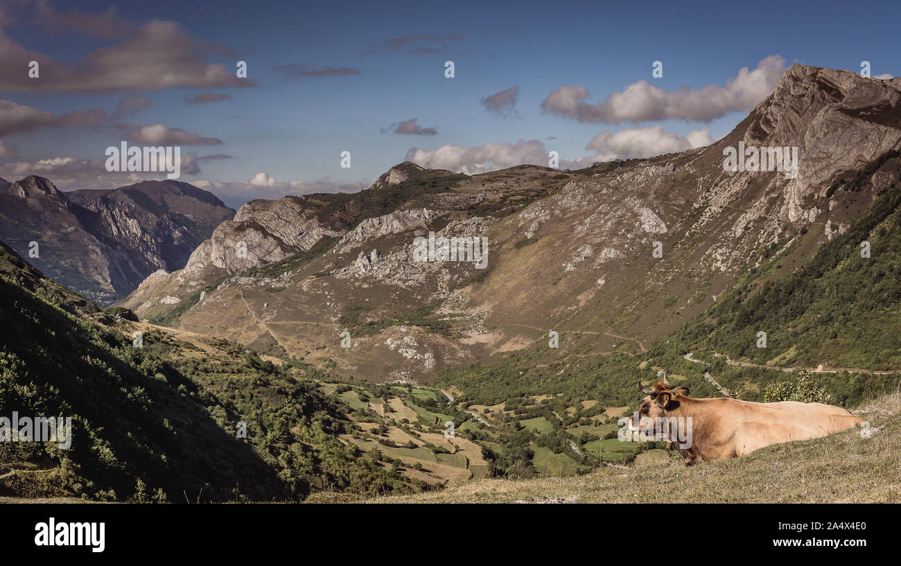 Vue sur les montagnes du parc naturel de Somiedo, Asturies, Espagne, du point de vue du roi dans la Peral Banque D'Images
