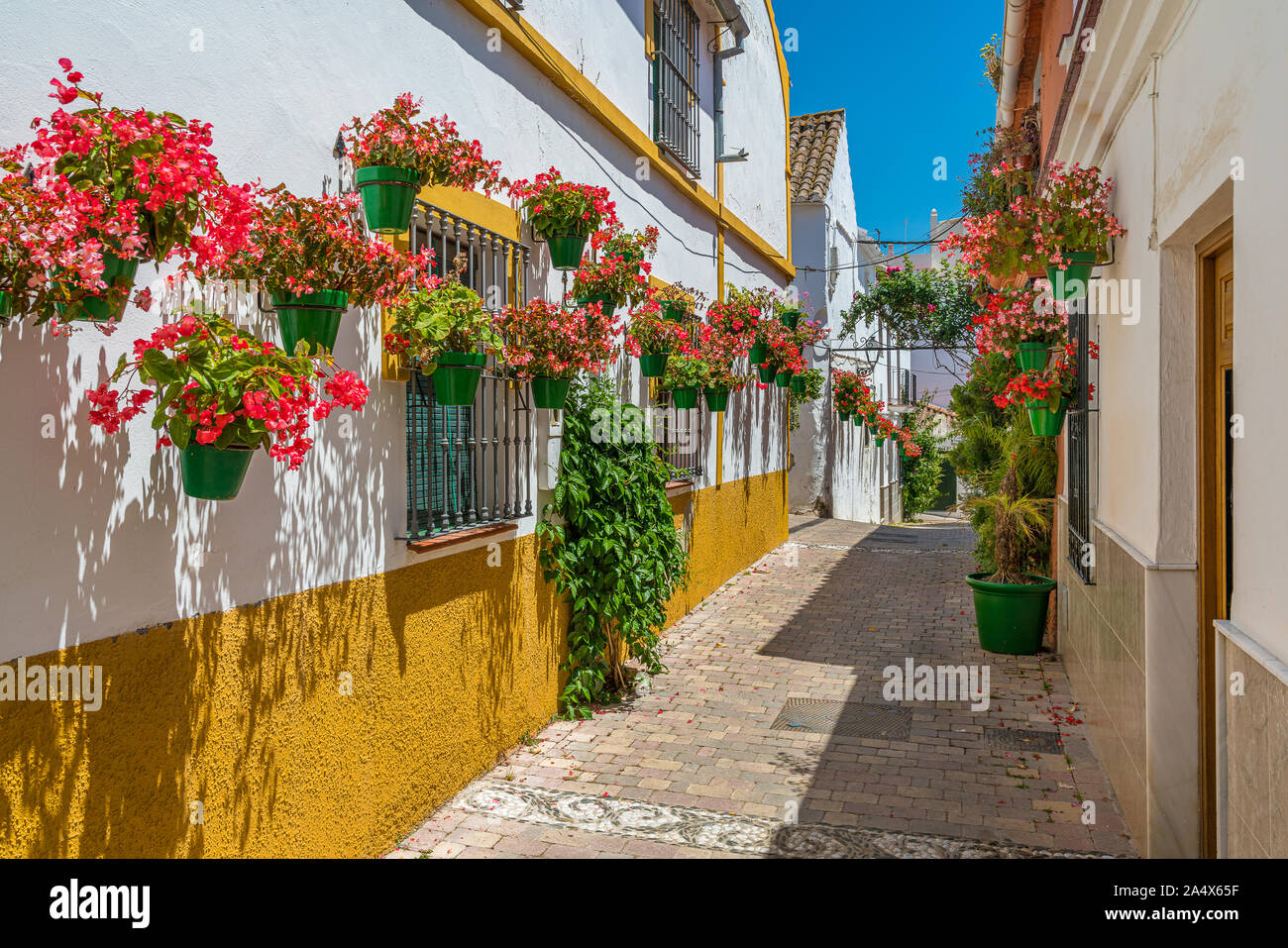 La belle Estepona, little et fleuri de la province de Malaga, Espagne. Banque D'Images