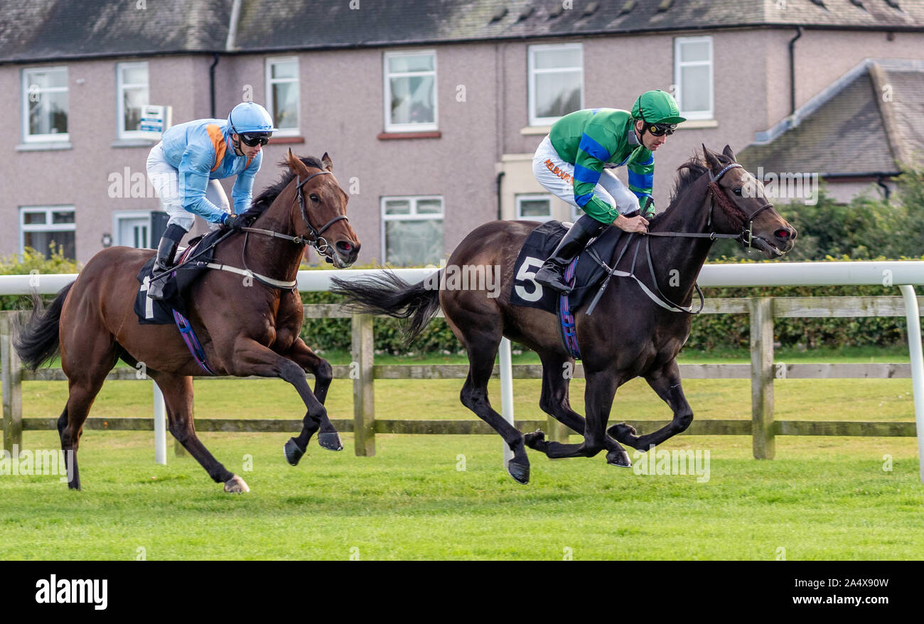 Un instant dans la course la sauvegarde des éleveurs de l'EBF Flying Scotsman Conditions mises - Musselburgh, 14 Oct 2019. Banque D'Images