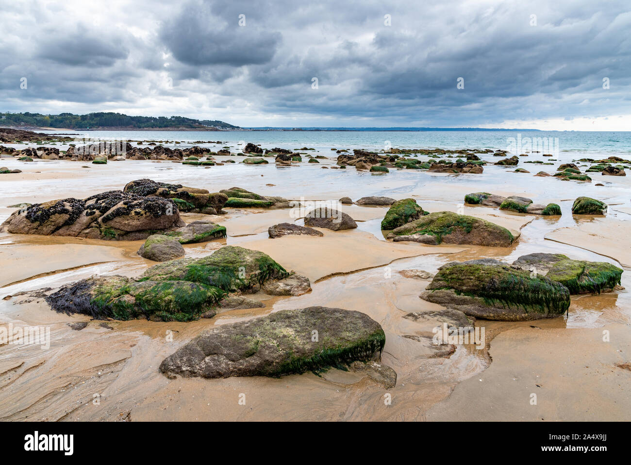Le sable humide et les rochers couverts d'algues et de moules sont visibles à marée basse sur une plage dans le nord de la Bretagne Banque D'Images