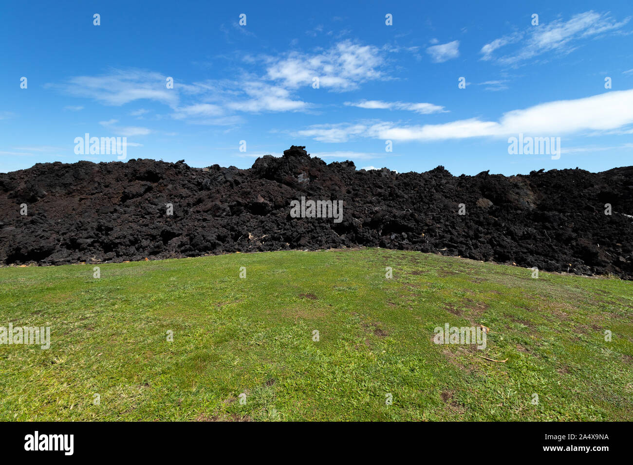 L'été 2018 dans un champ de lave à Isaac Hale Beach Park, Pohoiki, grande île de Hawaii, USA Banque D'Images