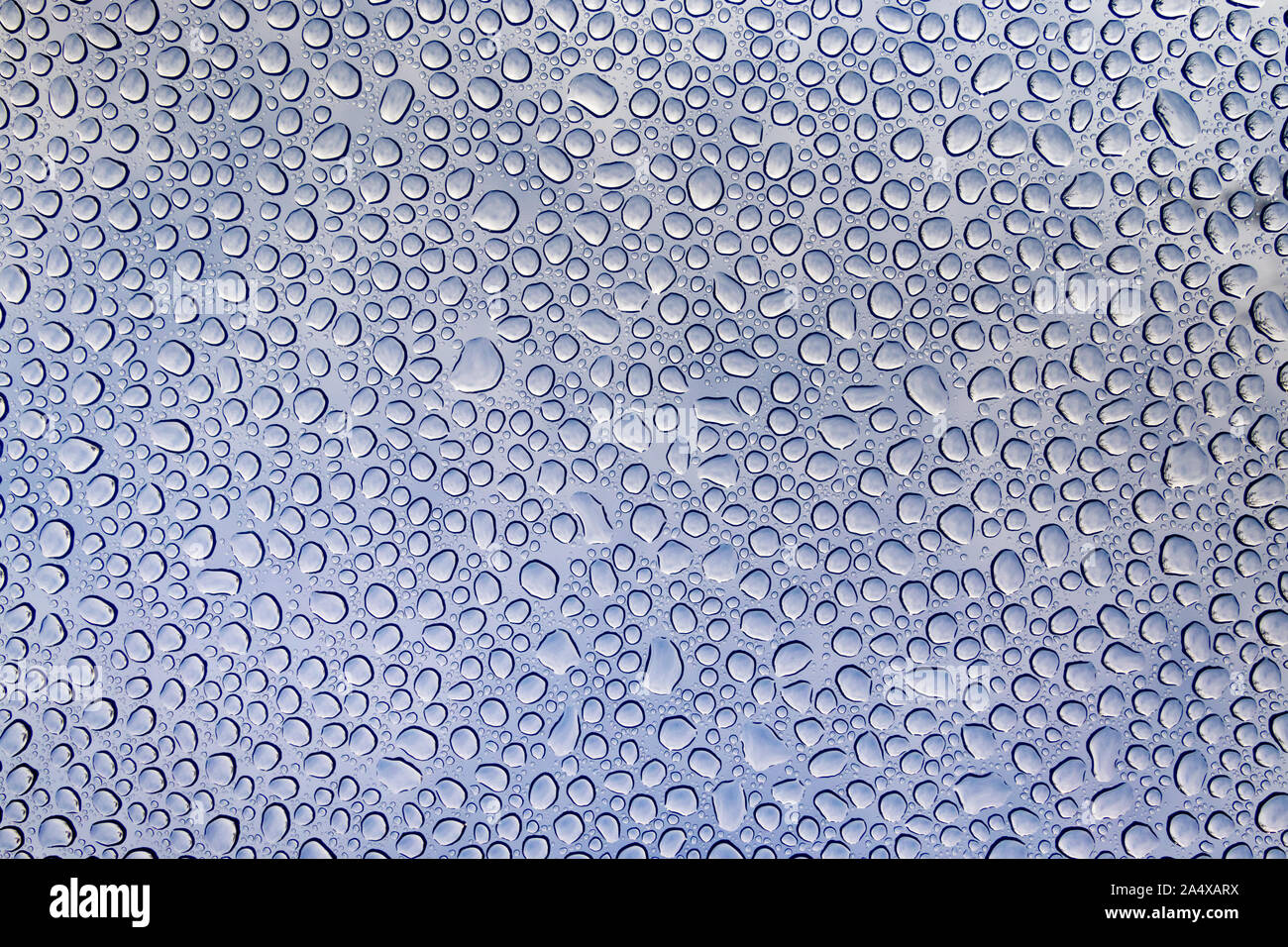Des gouttelettes d'eau sur le verre bleu Texture Background Banque D'Images