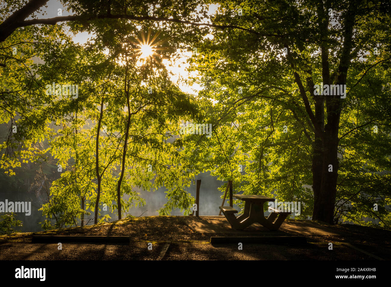 Une aire de pique-nique au parc des lacs Grundy à Tracy City, Missouri du parc d'état de Cumberland Sud système. Par le contre-jour du soleil tôt le matin.. Banque D'Images