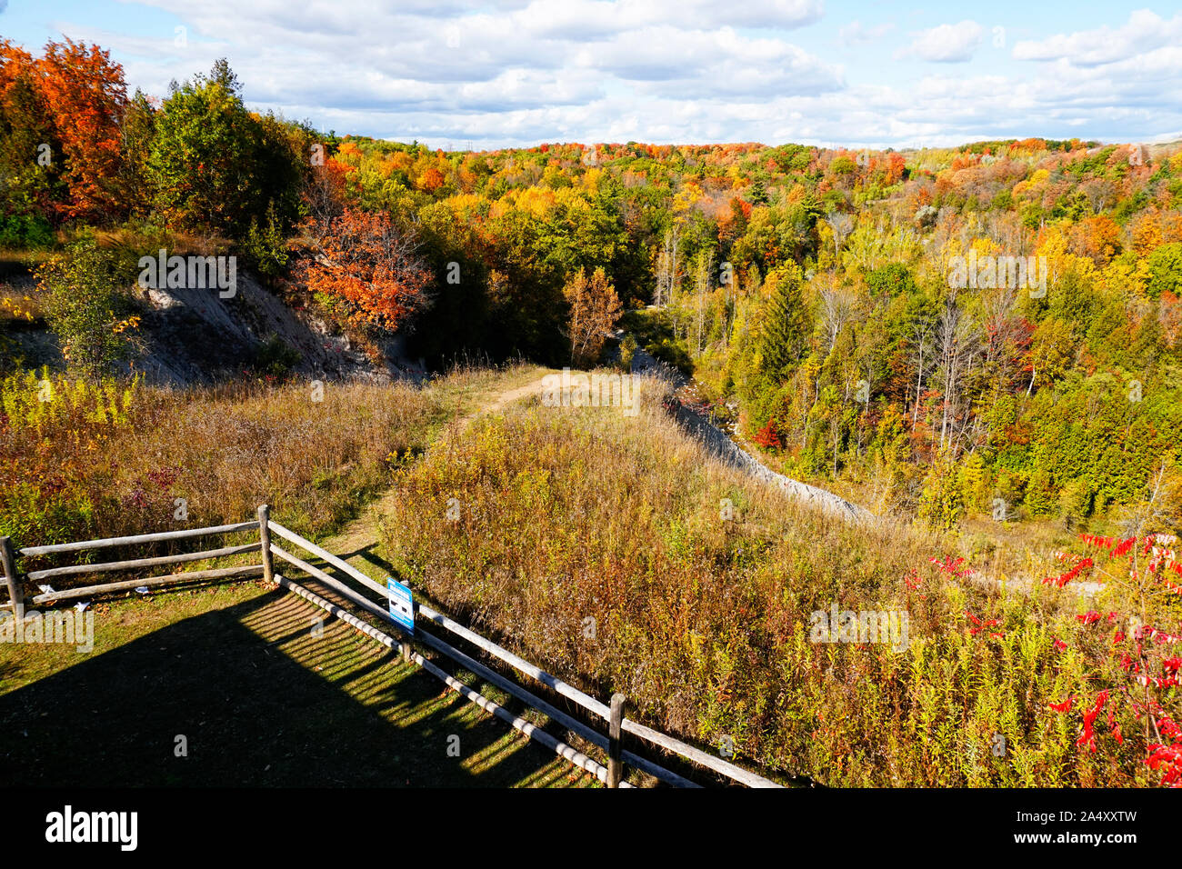 Vue belvédère de brillantes couleurs d'automne dans le parc urbain national de la Rouge, à Toronto, Ontario, Canada Banque D'Images