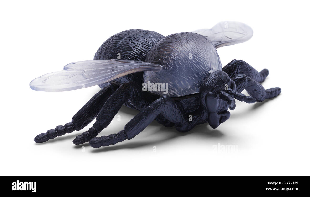 Jouet Abeille noire en plastique isolé sur fond blanc. Banque D'Images