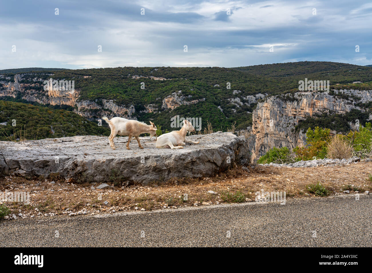 Vue paysage autour de Labastide de Virac en Ardèche, France Banque D'Images