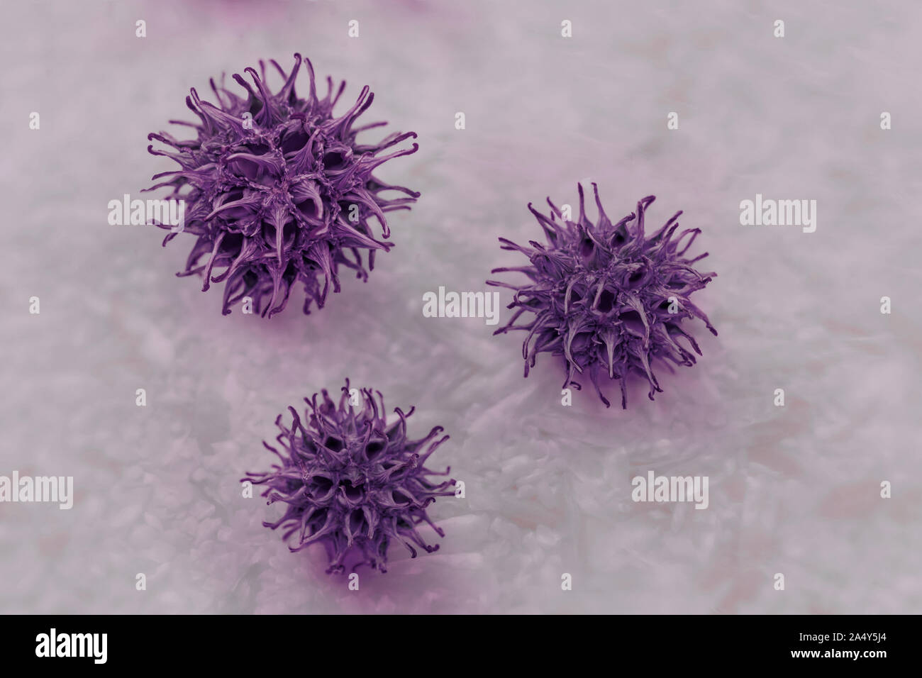Illustration 3d infection virale causant des maladies chroniques. Les virus de l'hépatite, le virus influenza H1N1, Grippe, infecter des cellules, l'organisme de lutte contre le sida. Résumé Virus retour Banque D'Images