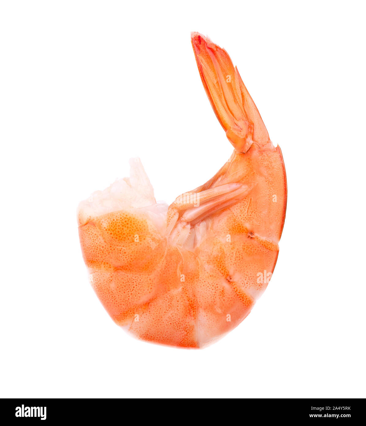 Crevettes cuites rouge ou crevettes tigrées isolé sur fond blanc Banque D'Images