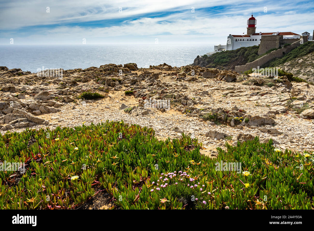 Fleurs sur la côte sauvage du Cabo de São Vicente (cap Saint Vincent) avec le phare rouge en arrière-plan, Lagos, Algarve, Portugal Banque D'Images