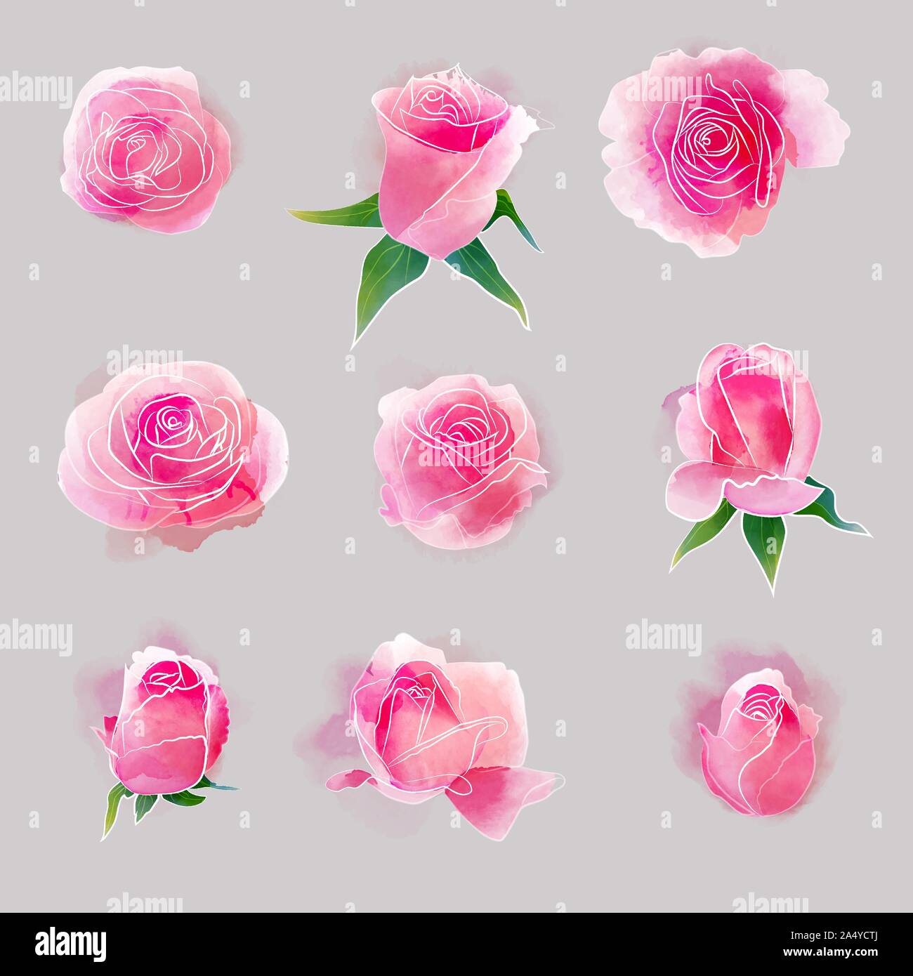 Belle aquarelle roses rose vector set Illustration de Vecteur