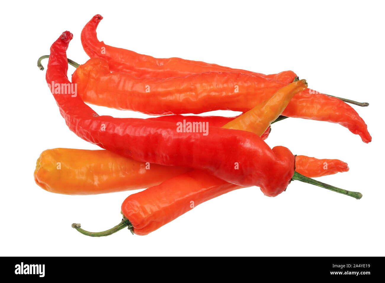Ensemble de gousses de piment rouge frais pile. Isolé sur un plan macro studio blanc Banque D'Images
