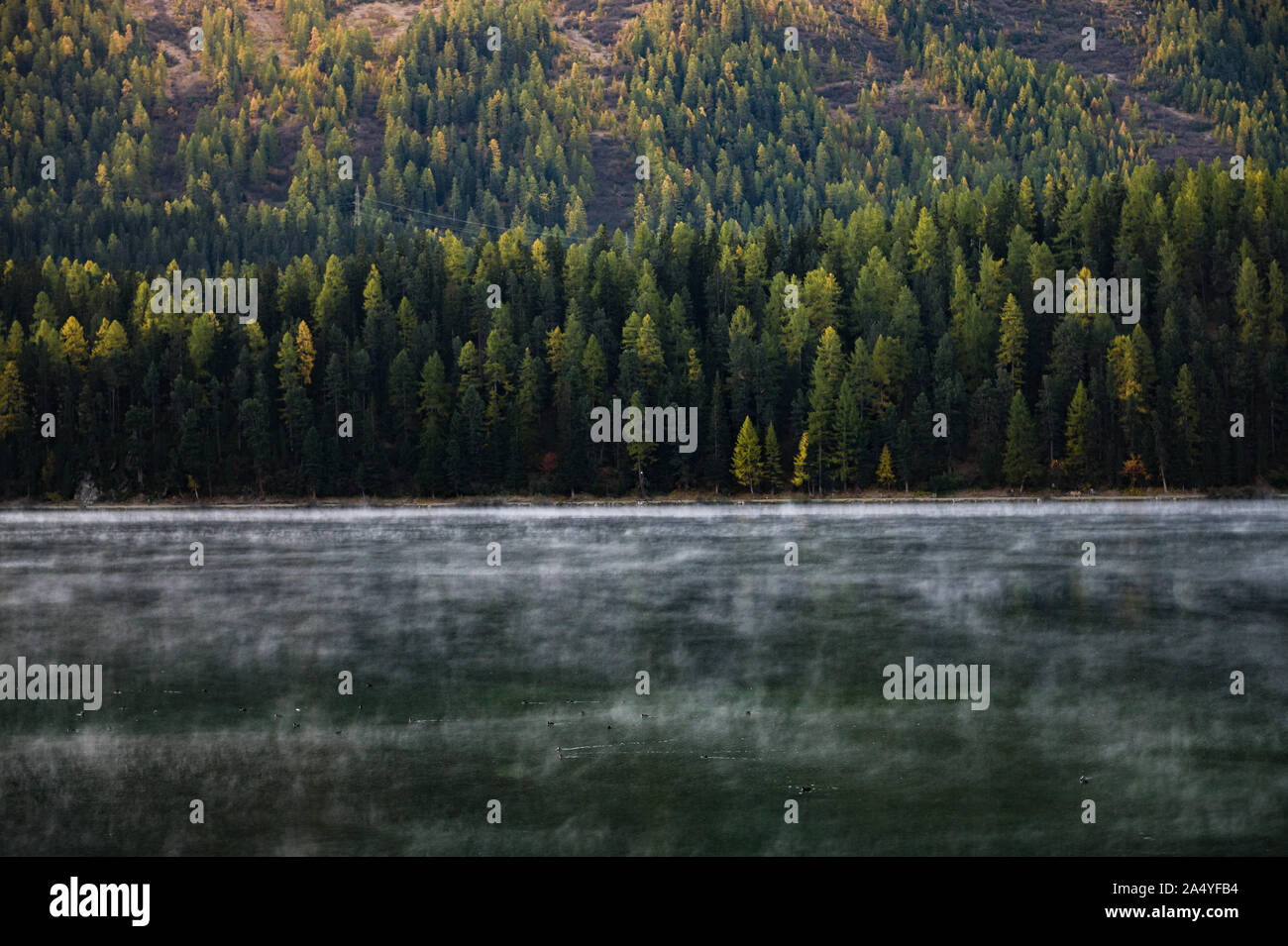 Matin d'automne brume sur le lac de Saint-Moritz Banque D'Images