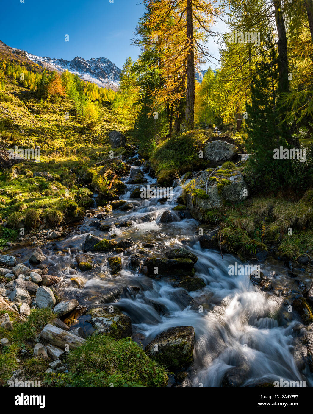 Donnant sur lais da Macun randonneur au Parc National Suisse Banque D'Images