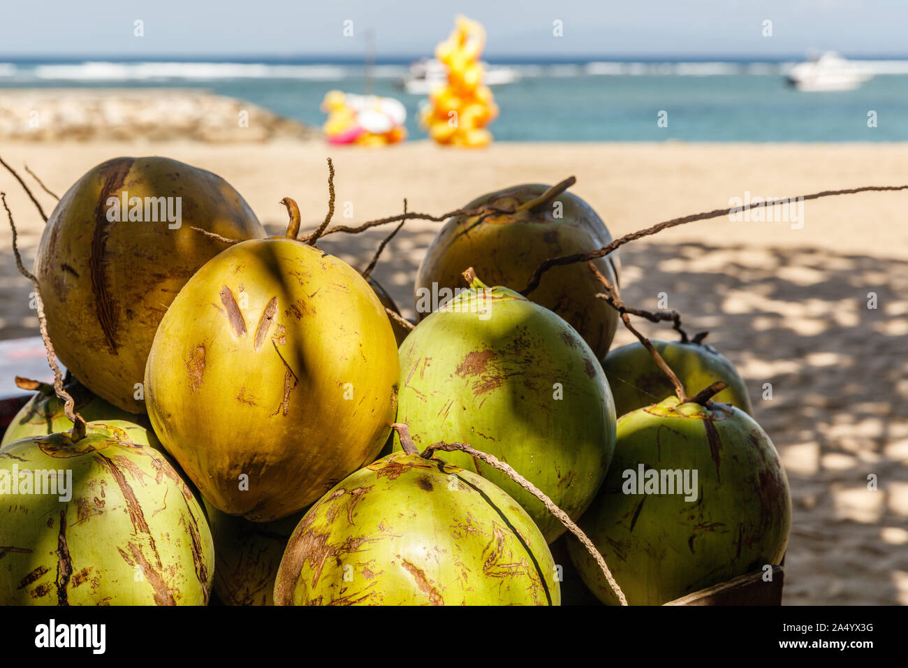Pile de l'alcool de coco sur la plage de Sanur. Bali, Indonésie Photo Stock  - Alamy
