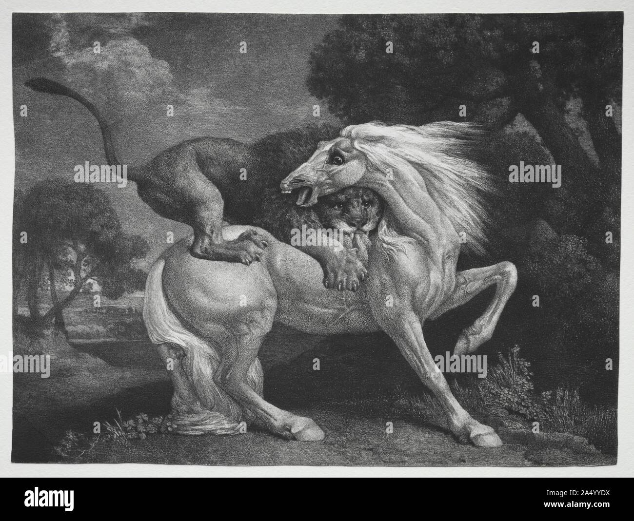 Un cheval attaqué par un lion, 1788. Banque D'Images