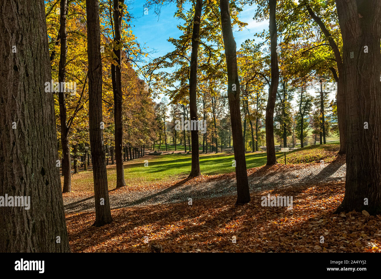 Italie Piémont Venaria Reale - parc régional de la Mandria Banque D'Images