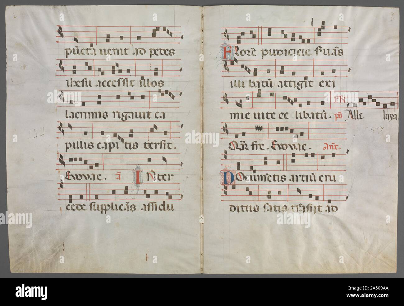 Bifolium à partir d'un Antiphonary : Musique, c. 1320-1340. La représentation de Saint Dominique (1170-1221), fondateur de l'Ordre dominicain des prêcheurs, dans cette première suggère que cette double page était en même temps partie d'un manuscrit d'un couvent dominicain. Saint Dominique voyagé beaucoup, prêchant dans toute l'Europe, et a été particulièrement vénéré à Bologne, la ville où il mourut et fut enterré. L'illuminateur de ce premier est nommé d'après un volume il a décoré de Sénèque&# x2019;s works (maintenant dans la biblioth&# xe8;que nationale à Paris). Son atelier spécialisé dans les grands manuscrits d Banque D'Images