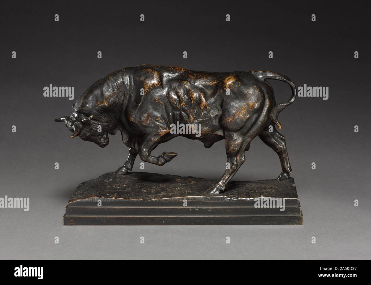 Bull, c. 1841. Banque D'Images