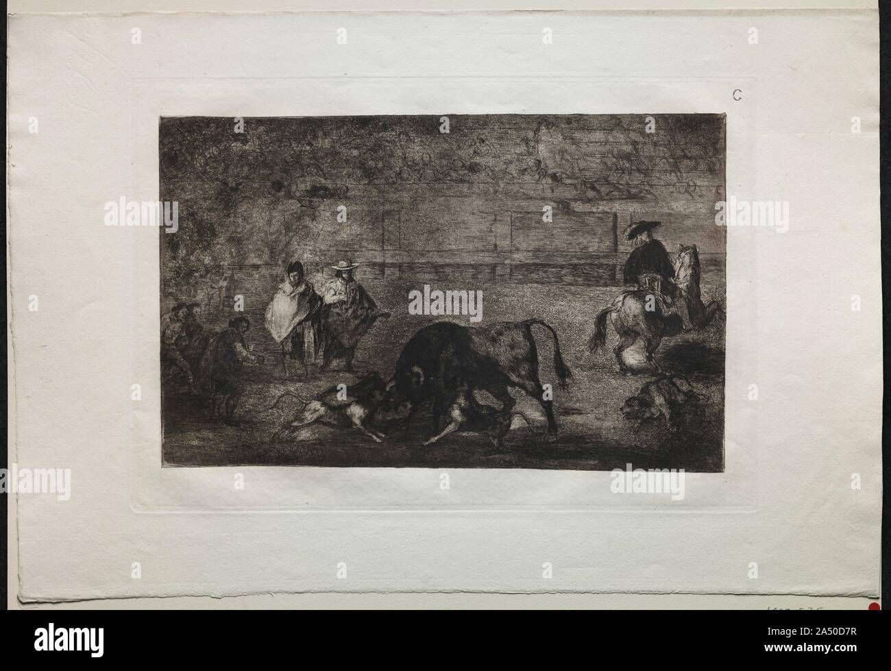 Corridas : le chien sur la Bull, 1876. Banque D'Images