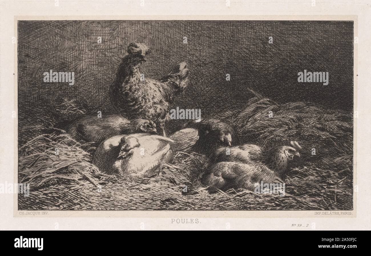 Poulets (Poutes), 1867. Banque D'Images