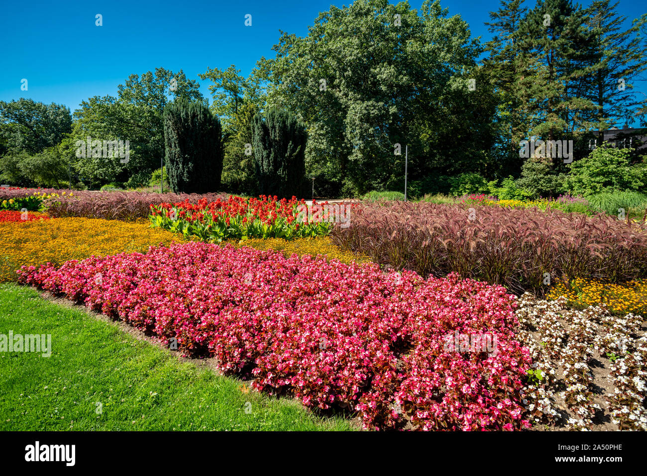 Vue d'une pelouse et jardin fleuri. beau parc Banque D'Images