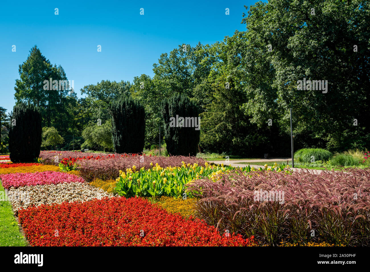 Vue d'une pelouse et jardin fleuri. beau parc Banque D'Images