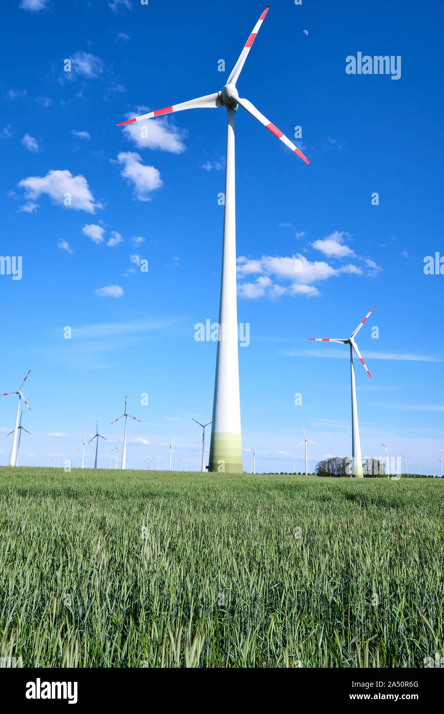 Les générateurs d'énergie éolienne dans un champ de vue en Allemagne Banque D'Images