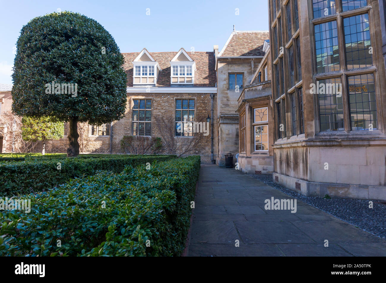 De superbes cours intérieures au célèbre collège de l'Université de Cambridge. Étudiant à l'Université de Cambridge. Campus de l'Université de Cambridge Banque D'Images