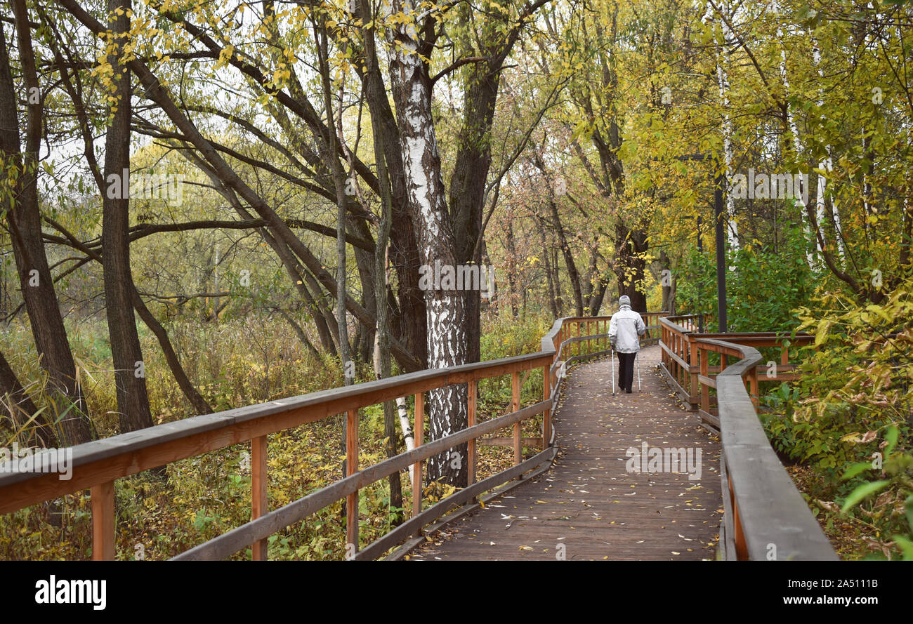 Femme âgée marchant dans le parc. Pont en bois et plancher avec rambarde. Automne temps ensoleillé, le bouleau jaune feuilles de forêt. Vieillesse active nordique Banque D'Images