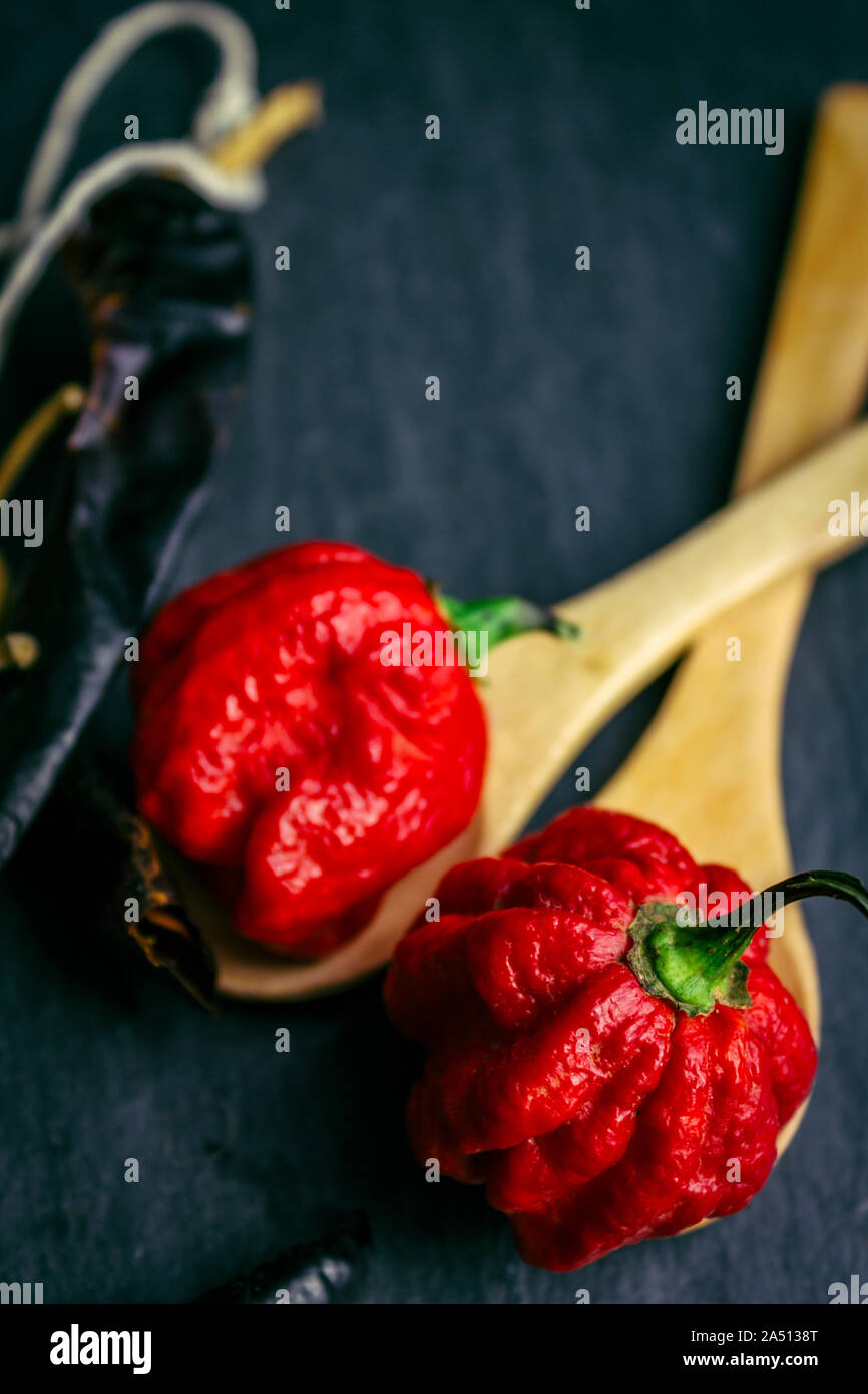 Poivre les plus chauds dans le monde. Trinidad Scorpion Butch, des milliers de fois plus épicé de habanero. Sur fond d'ardoise noire, avec lumière naturelle. Banque D'Images