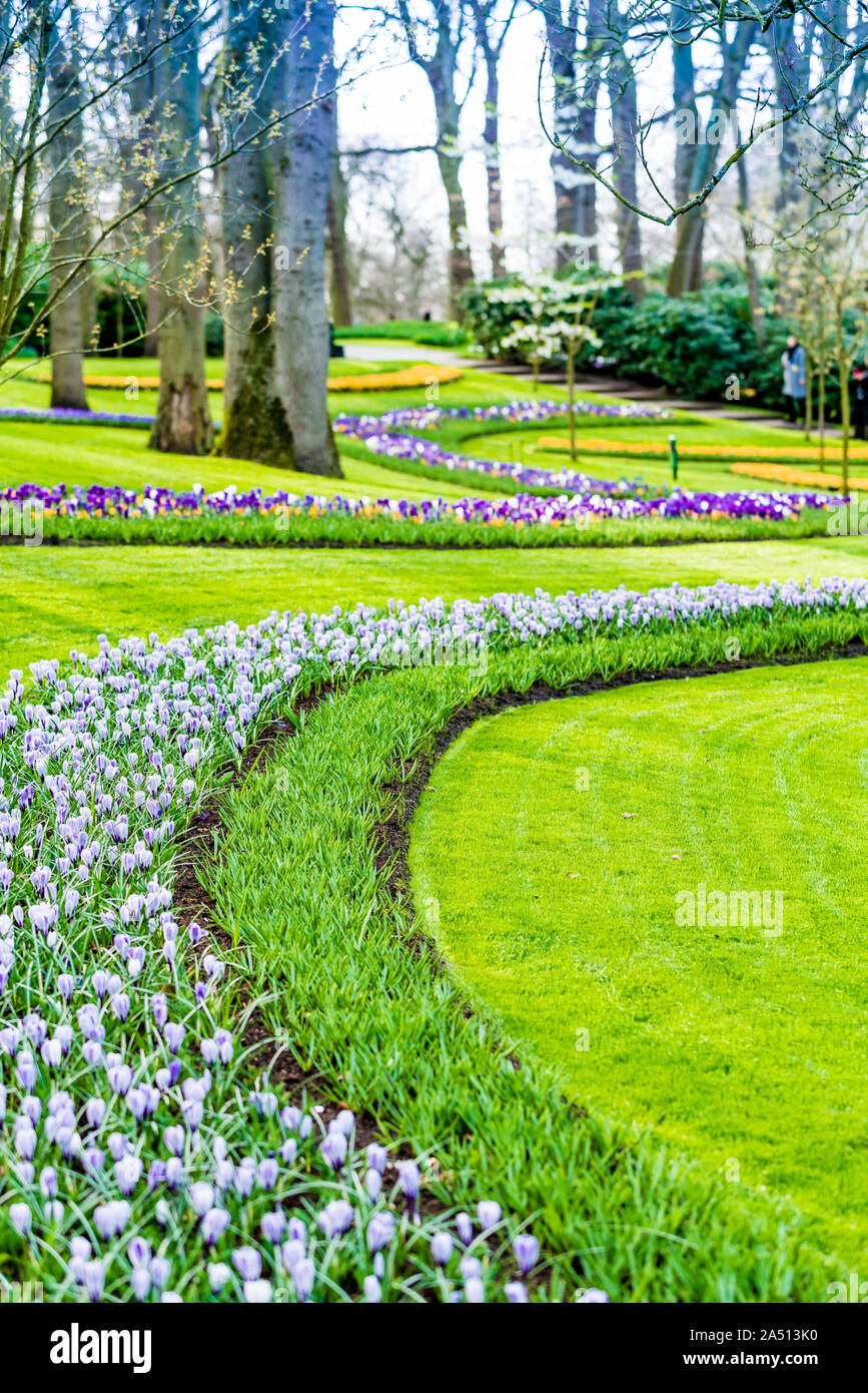 Jardin fleuri de fleurs Banque D'Images