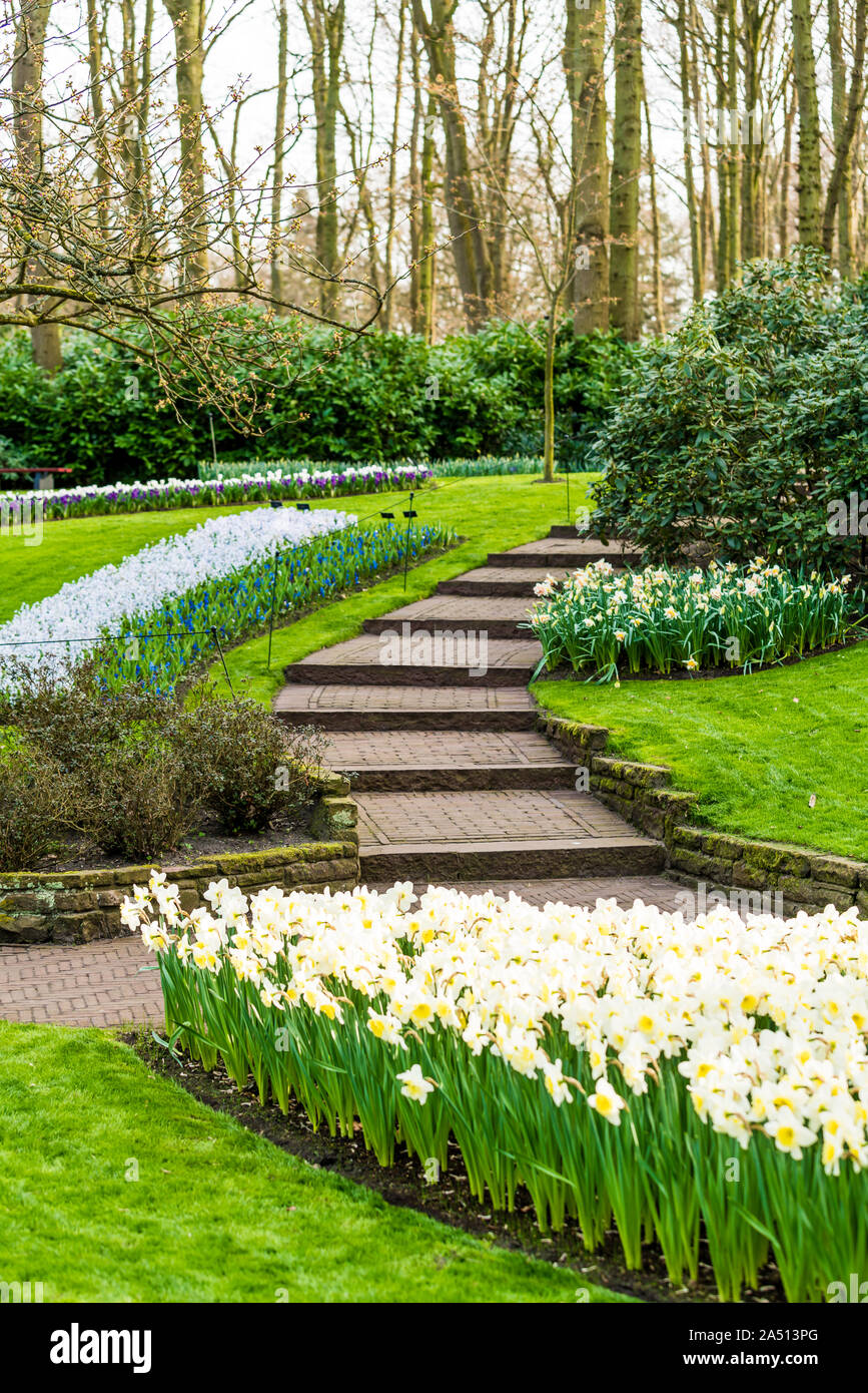 Jardin fleuri de fleurs Banque D'Images