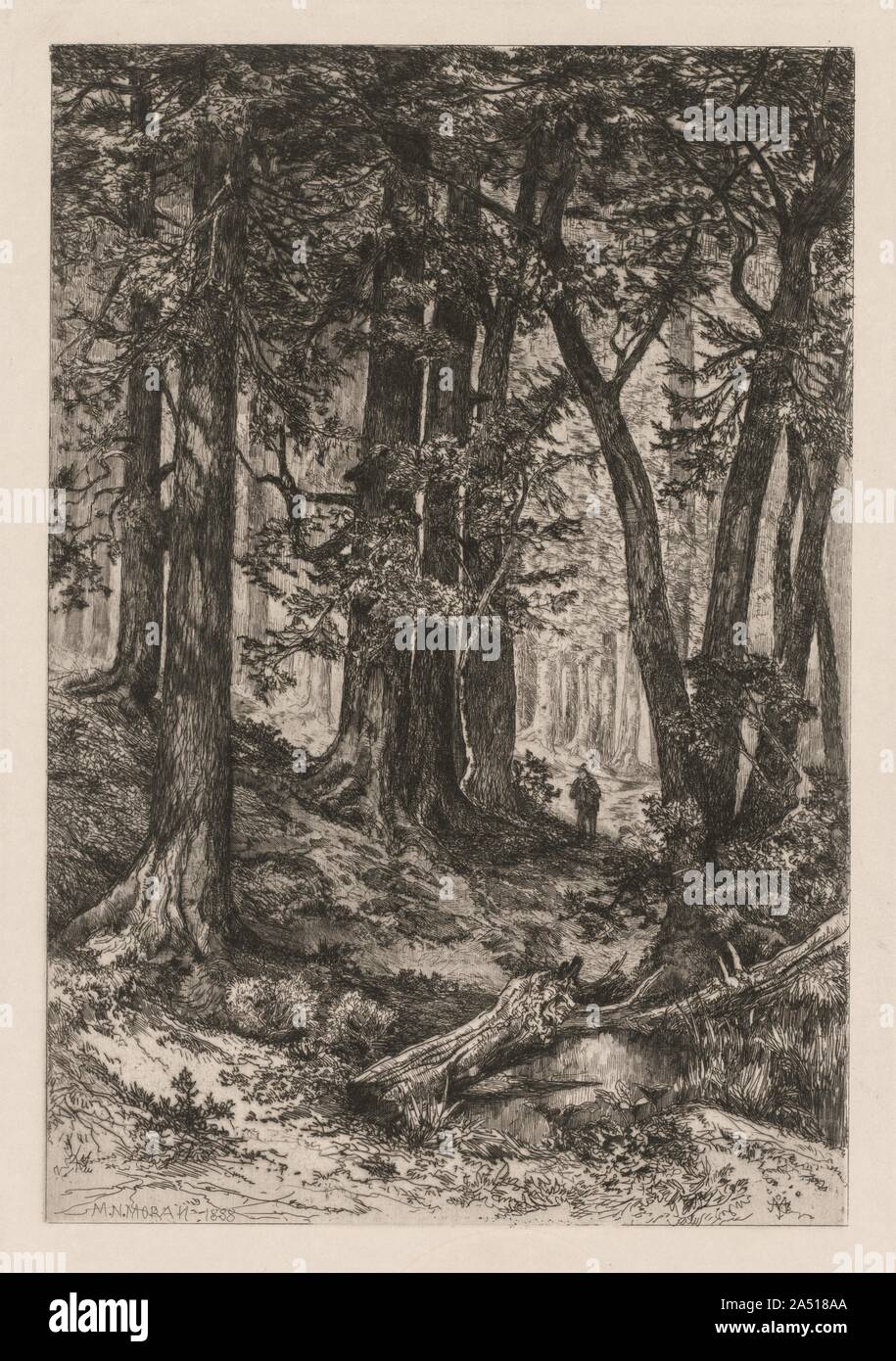 Intérieur d'une forêt en Californie (après Thomas Moran (Américain, 1837-1926)), 1888. Banque D'Images