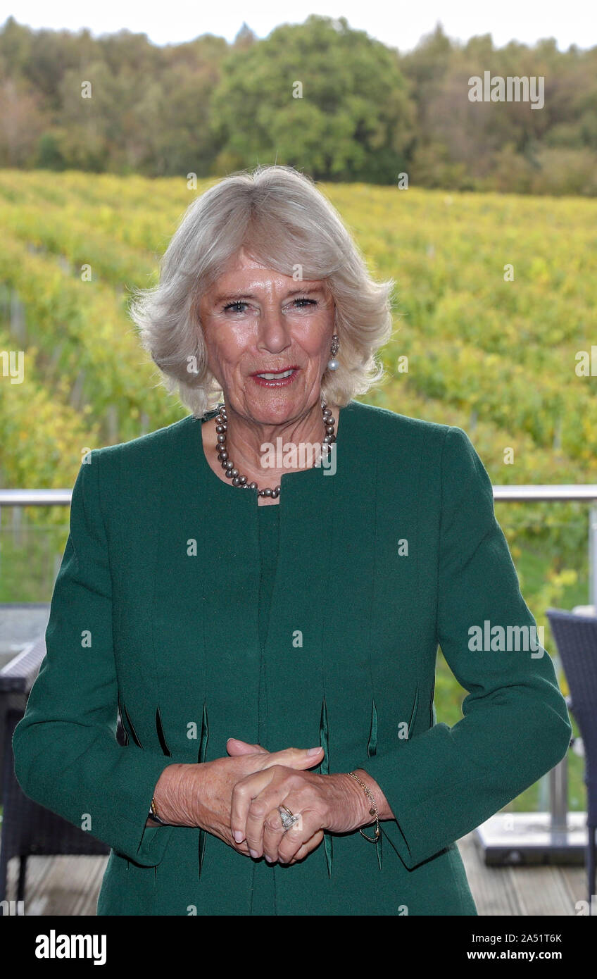 La duchesse de Cornouailles, Président de vin GO, au cours d'une visite à la nouvelle cave à vin Bolney Estate à Haywards Heath, dans le Sussex. Banque D'Images