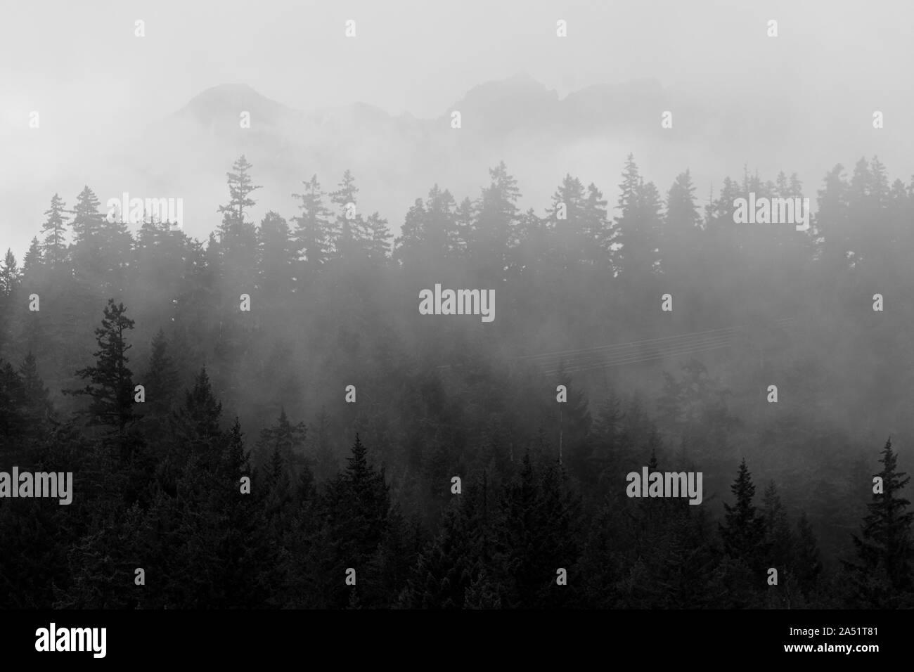 Le brouillard se lève sur une colline boisée sur un matin d'été au Canada. Banque D'Images