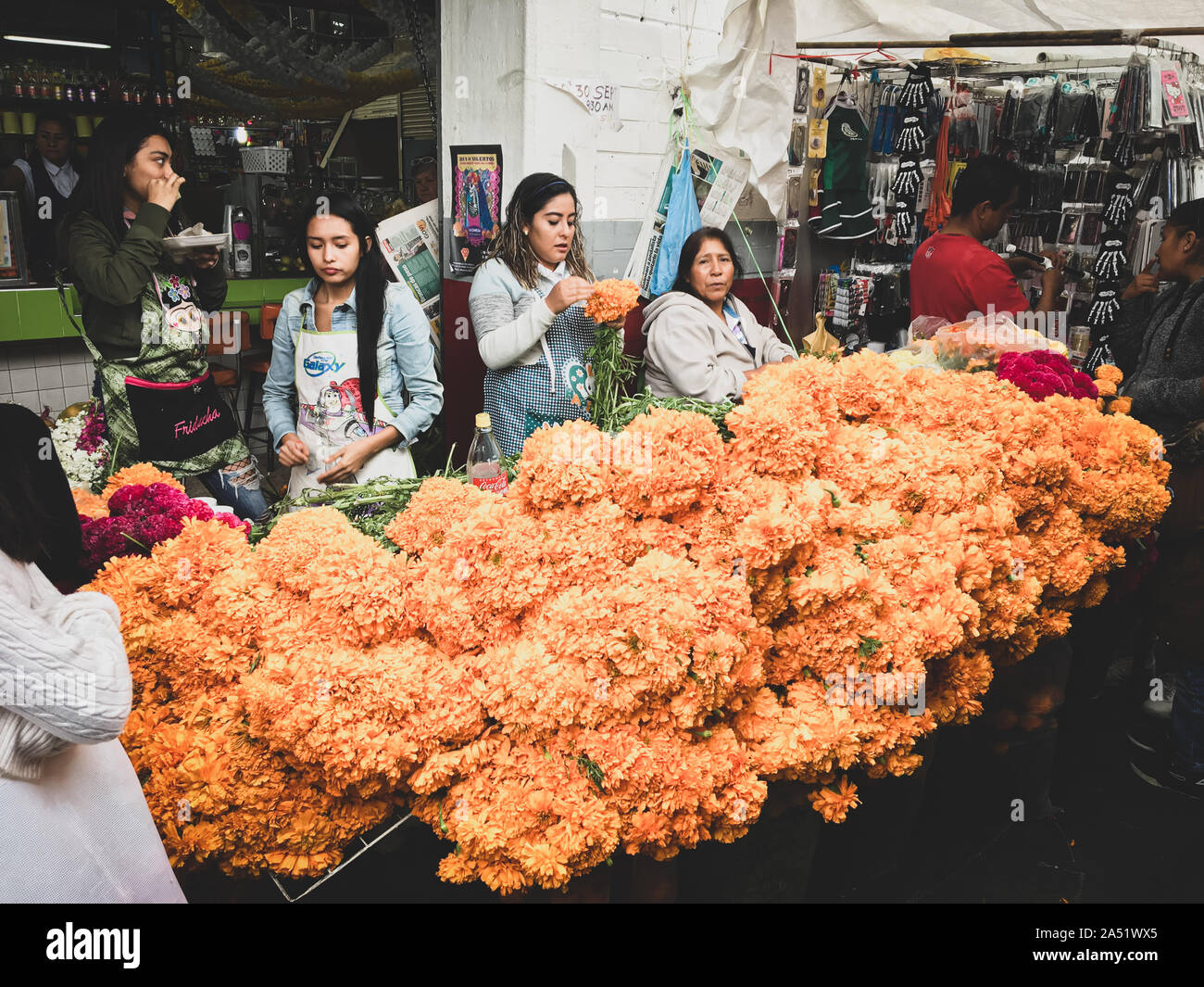 Les vendeurs de fleurs chargés dans le marché public du Mexique. Banque D'Images