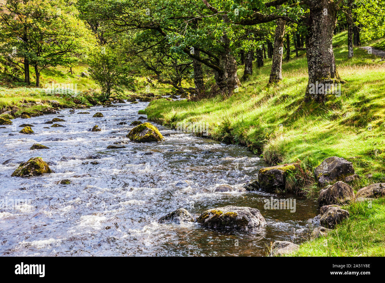 Watendlath Beck, dans le Parc National du Lake District, Cumbria. Banque D'Images