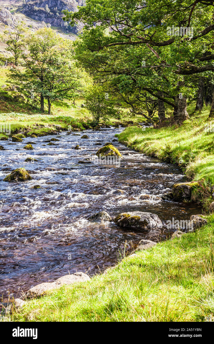 Watendlath Beck, dans le Parc National du Lake District, Cumbria. Banque D'Images