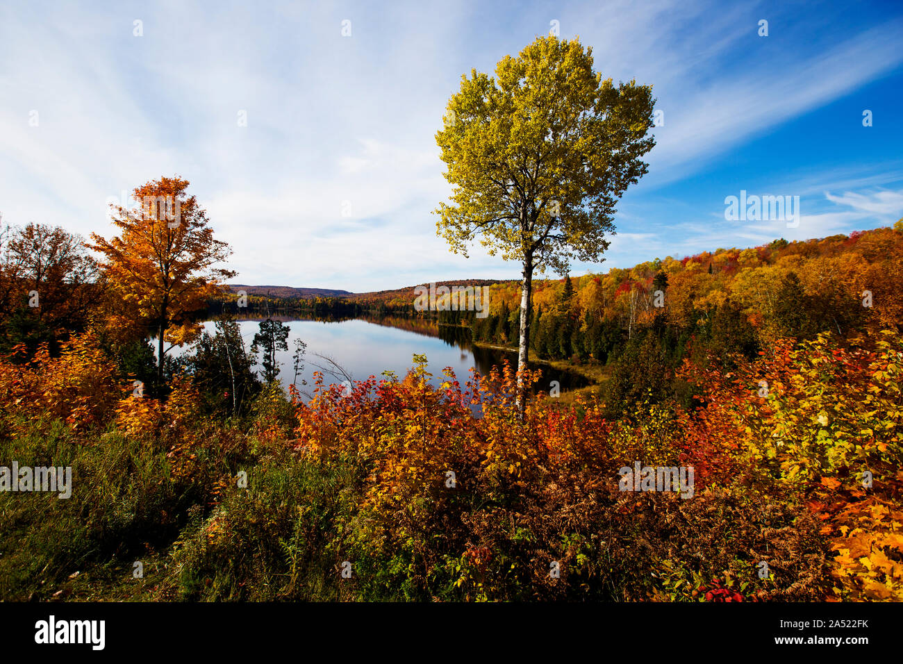 Paysage d'automne spectaculaire dans le Parc National de la Mauricie, Québec, Canada Banque D'Images