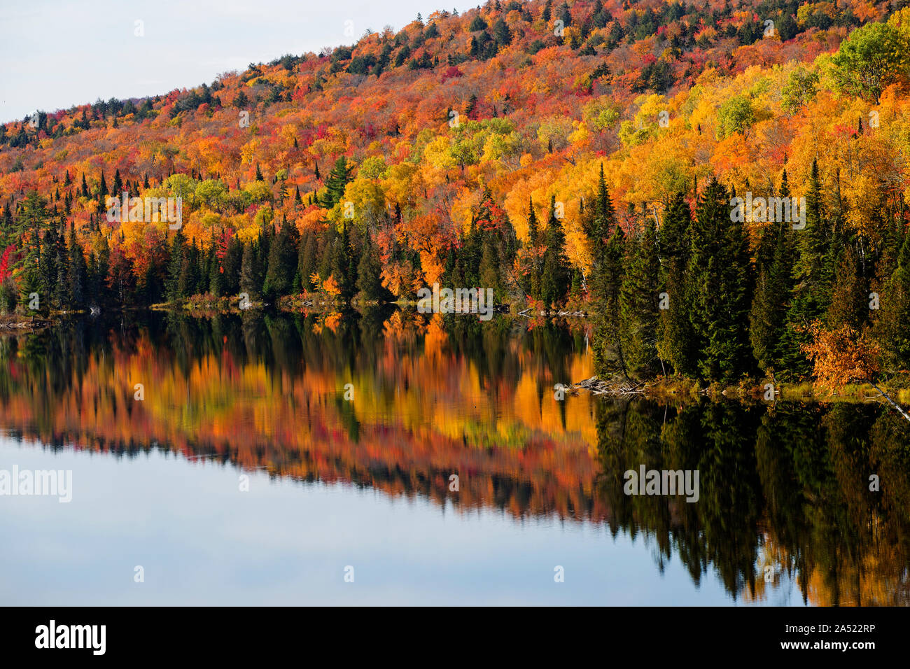 Paysage d'automne spectaculaire dans le Parc National de la Mauricie, Québec, Canada Banque D'Images