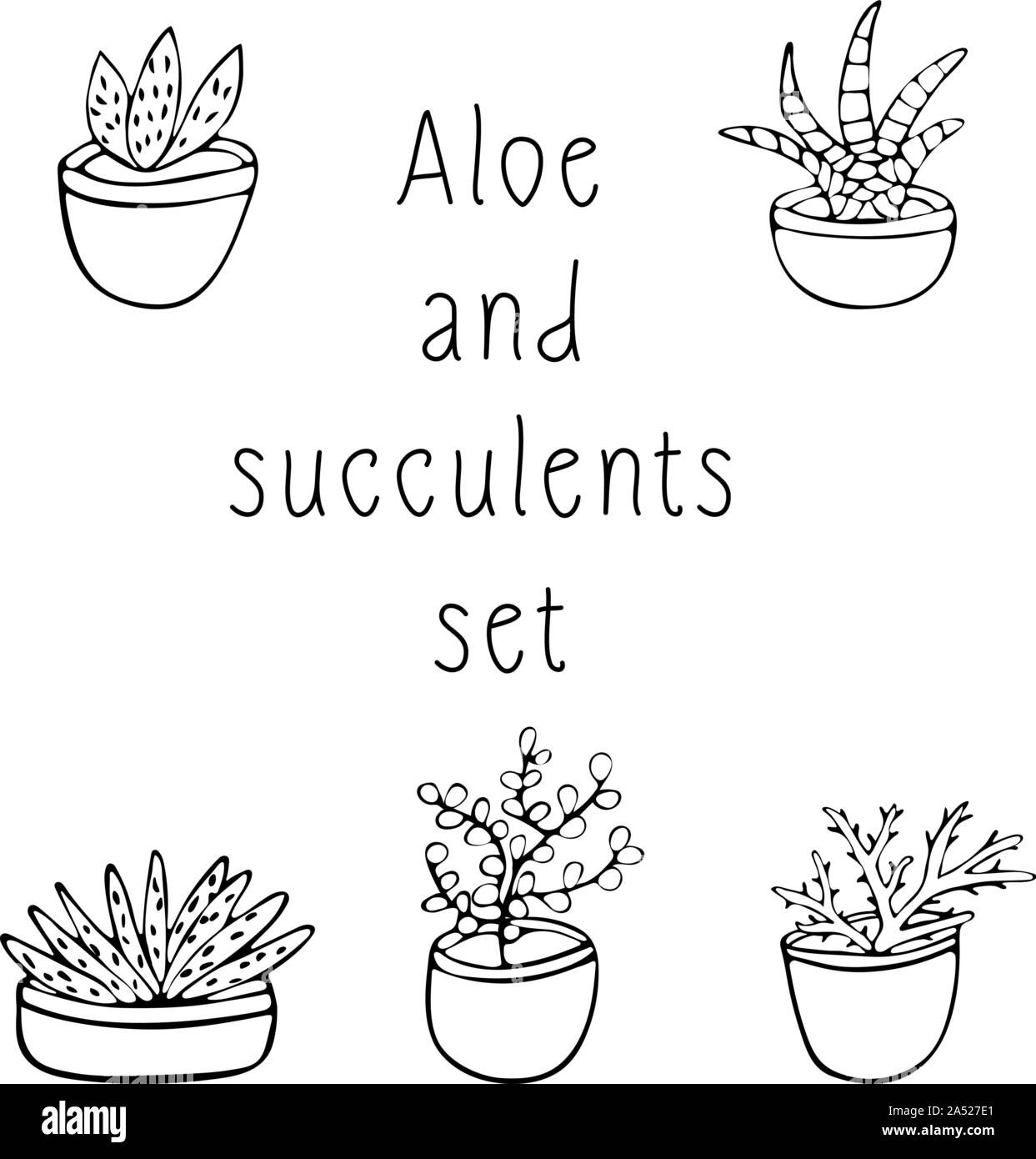 Le noir et blanc ensemble de plantes grasses et d'écarlate, dessin à la main, illustration sur fond blanc, croquis Illustration de Vecteur