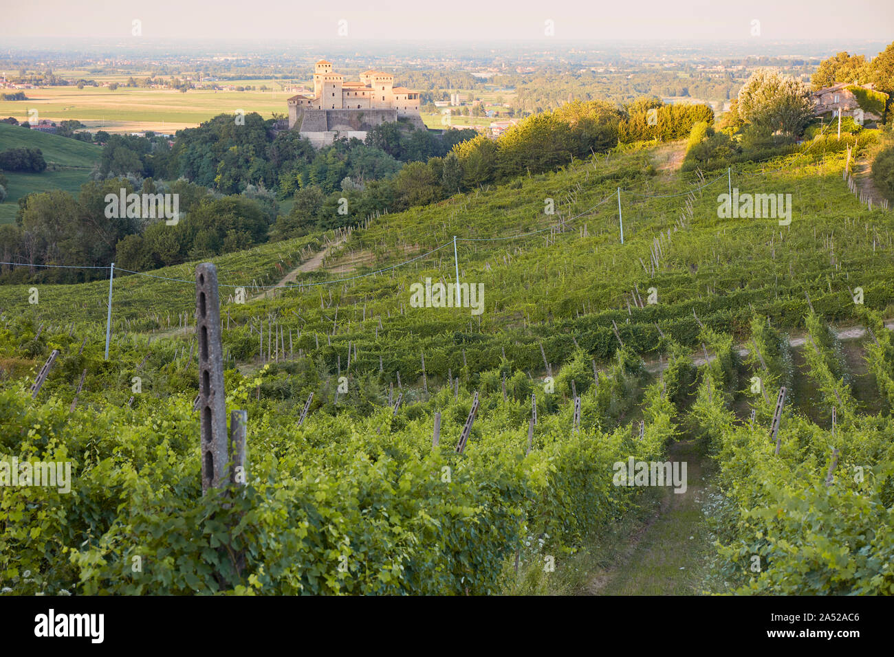 Les coteaux de vignes avec l'Torrechiara château médiéval dans l'arrière-plan, Parme, Italie. Banque D'Images