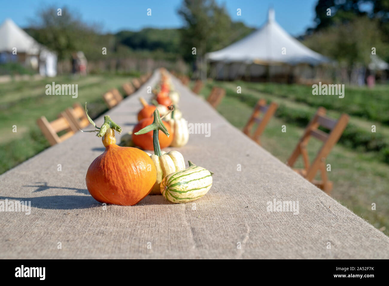 Citrouille, courge et squash afficher sur une longue table à Daylesford Organic farm shop festival d'automne. Daylesford, Cotswolds, Gloucestershire, Angleterre Banque D'Images