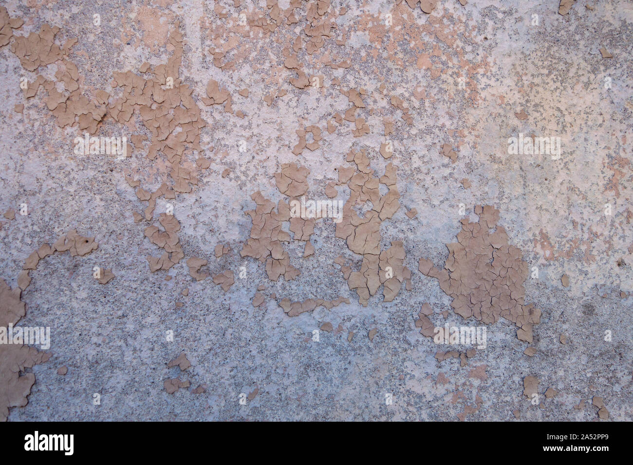 Peler et chipping piant off mur de ciment Banque D'Images