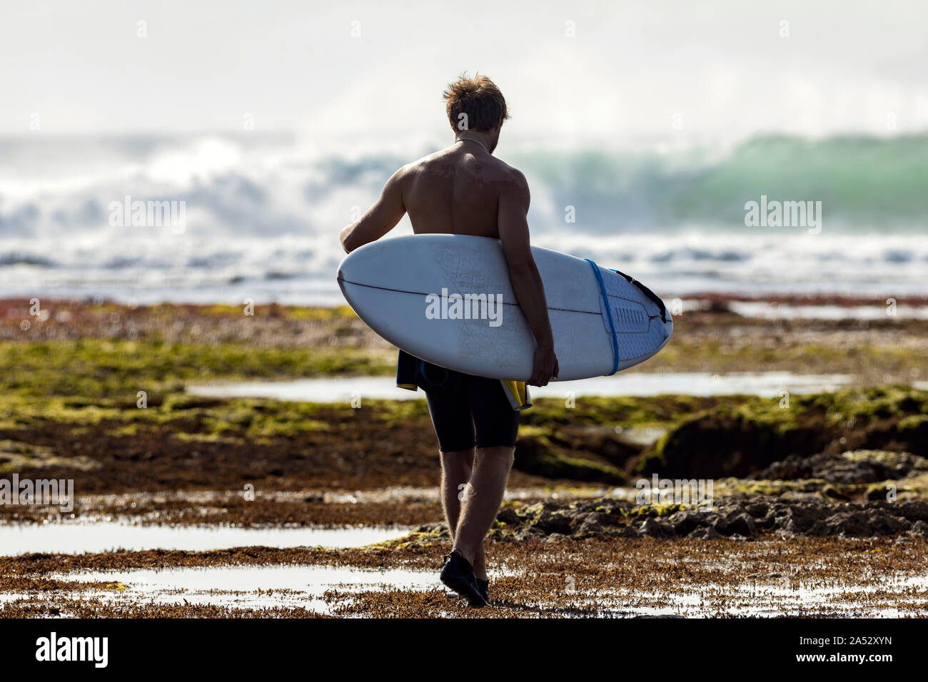 Homme à marcher sur la plage de surf Banque D'Images